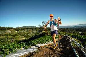 BIB: 
                            <button type="button" onclick="openModal(19116214)" class="btn btn-primary btn-sm float-right btn-popup" data-toggle="modal" data-target=".modal-high-quality">
                        <i class="fas fa-shopping-cart"></i> Add to Cart
                    </button>
                                            <button type="button" onclick="isThisMe(19116214, true)" class="btn btn-success btn-sm float-right btn-popup btn-isme hidden" data-toggle="tooltip" data-placement="bottom" title="นี่คือรูปของคุณใช่ไหม คลิกที่นี่เพื่อเอาเข้าอัลบั้ม">
                        <i class="fas fa-plus"></i> Add to album
                    </button>
                    <button type="button" onclick="isThisMe(19116214, false)" class="btn btn-warning btn-sm float-right btn-popup btn-isnotme hidden">
                        <i class="fas fa-ban"></i> Remove from album
                    </button>